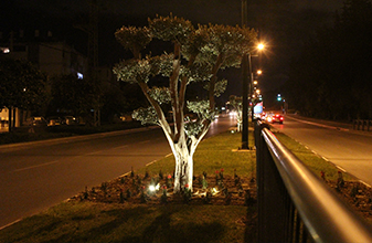 תאורה דקורטיבית במתח נמוך עיריית הרצליה